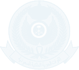 Royal Saudi Air Force